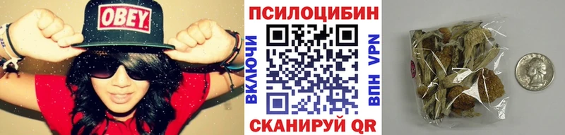 Галлюциногенные грибы Magic Shrooms  Купить закладки  Правдинск 